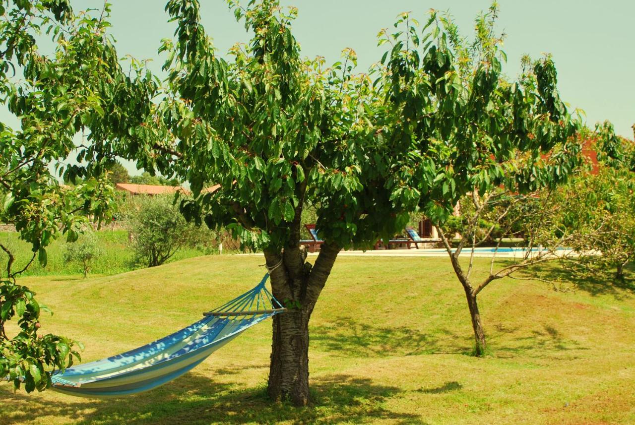 Villa Dorina Barban Exterior foto