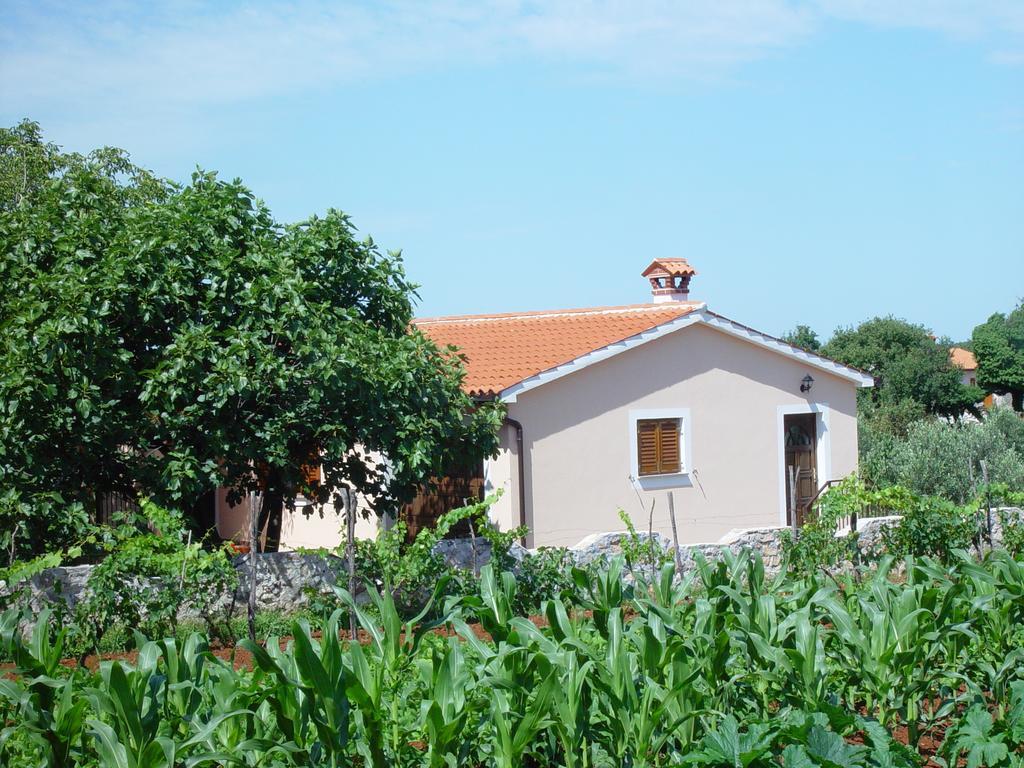 Villa Dorina Barban Habitación foto